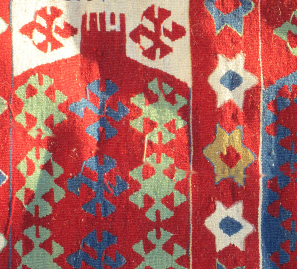 Need Identification and Key Words for Wool Rug Scavenger Life